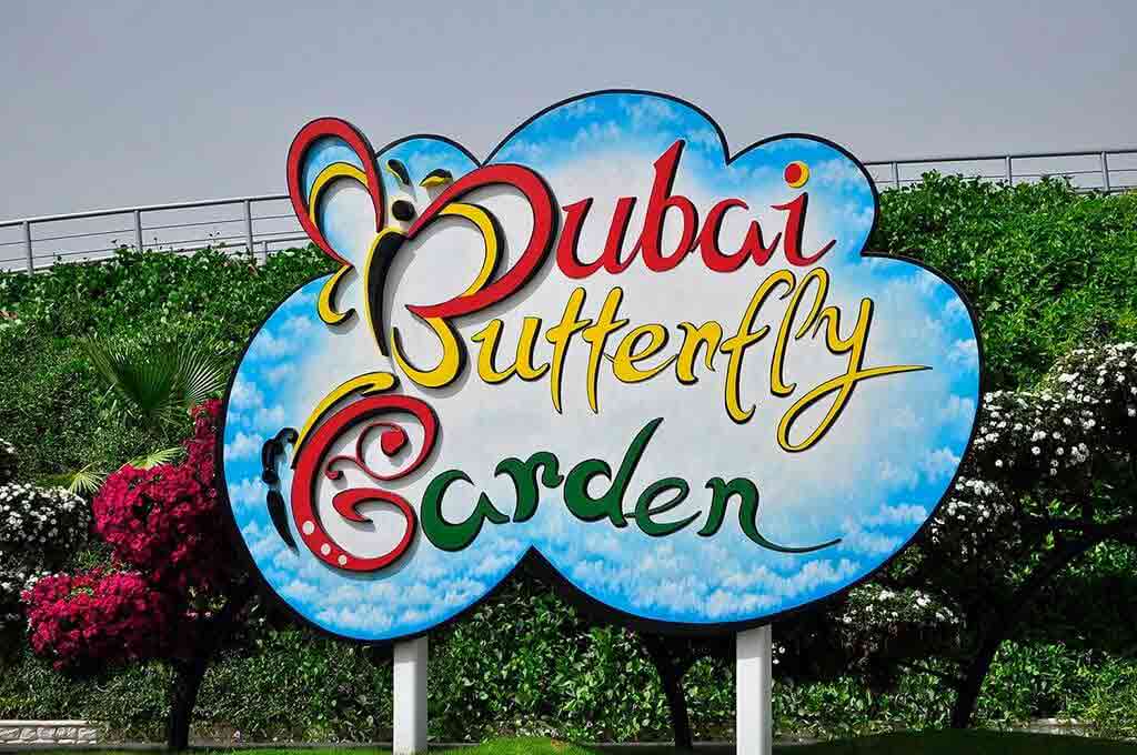 Best Picnic Spots In Dubai Dubai Vacations Holidays In Dubai Dubai best-picnic-spots-in-dubai-dubai-vacations-holidays-in-dubai-dubai