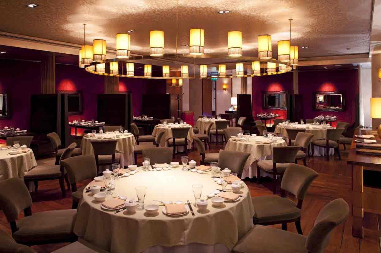 best restaurants in dubai you can't afford to miss their taste best restaurants in dubai you can't afford to miss their taste