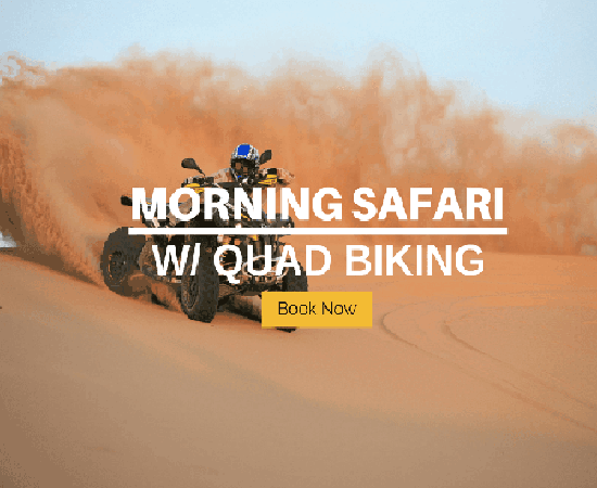 Morning-safari