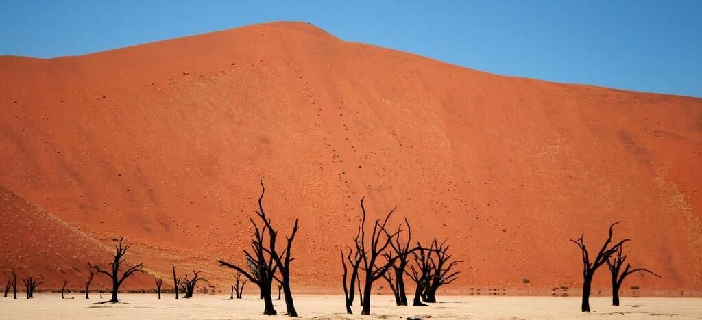 Namib Desert