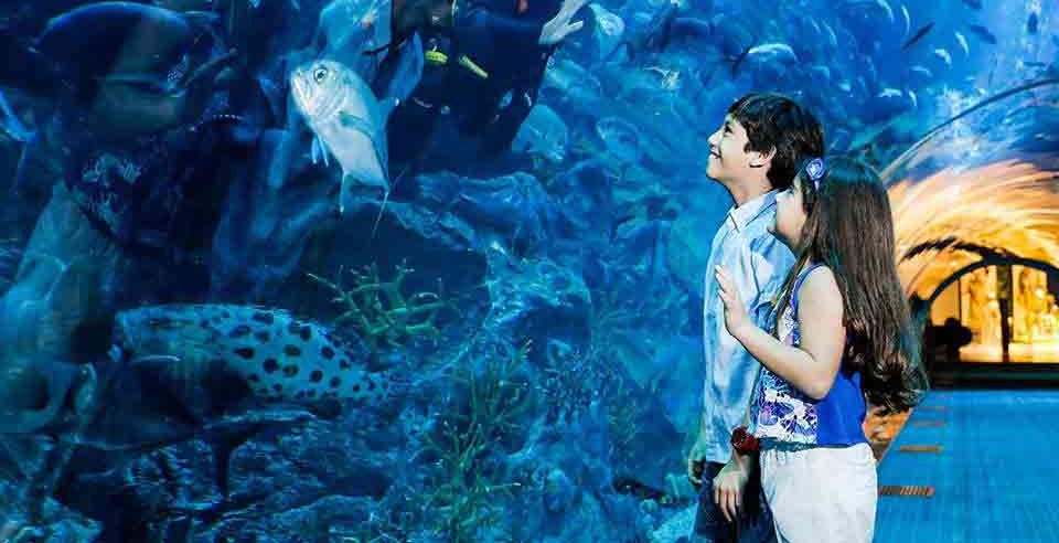 Dubai Aquarium and Underwater Zoo