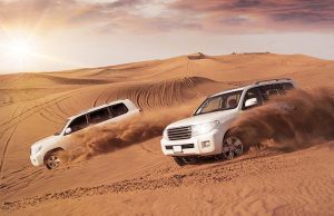 desert safari guide