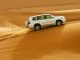 Desert Safari