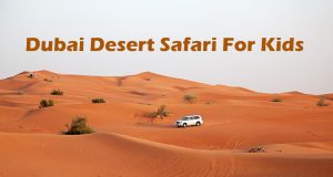 Dubai Desert Safari