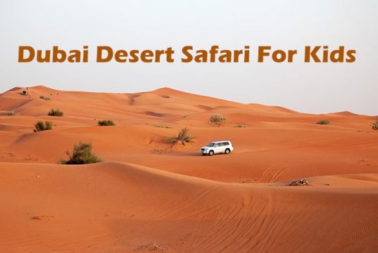 Dubai Desert Safari