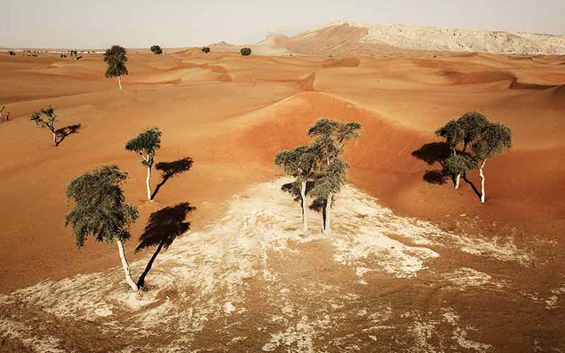 Jebel Maleihah Desert 