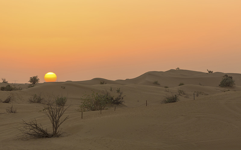 Desert Safari Sunset dubai 