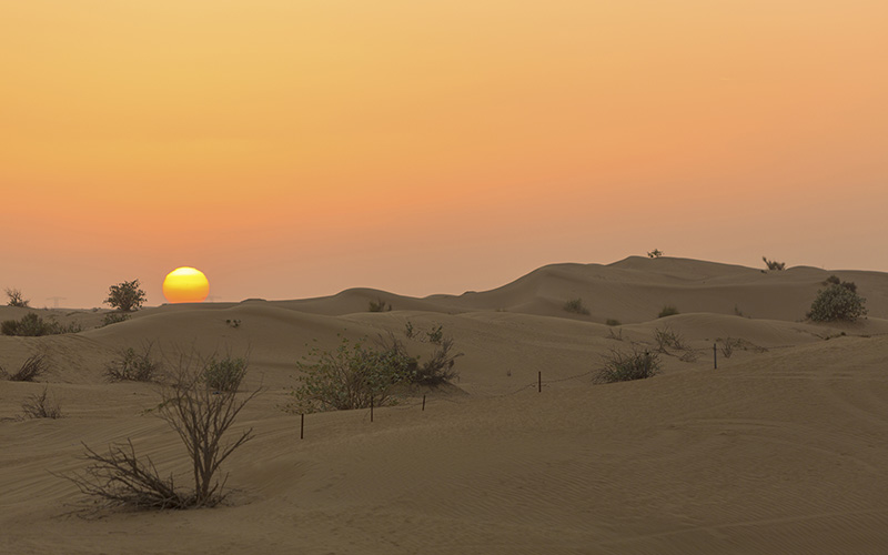 dubai desert safari sunset