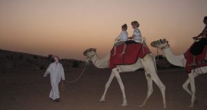 Kids enjoying camel ride during desert safari dubai