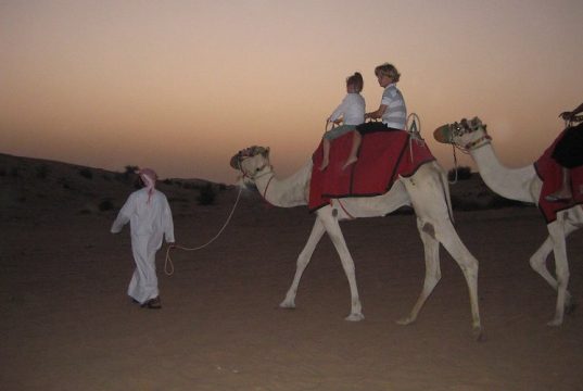Kids enjoying camel ride during desert safari dubai