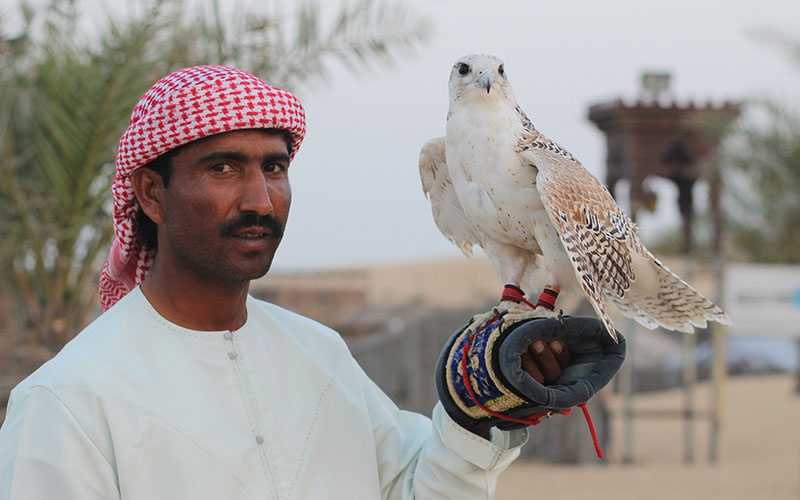 Bedouin Falconry in Dubai 