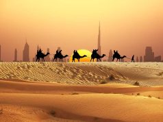 Camel Ride in Desert