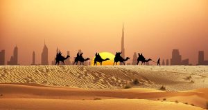 Camel Ride in Desert