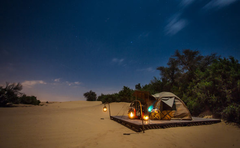 Dubai Desert Conservation Reserve Camping 