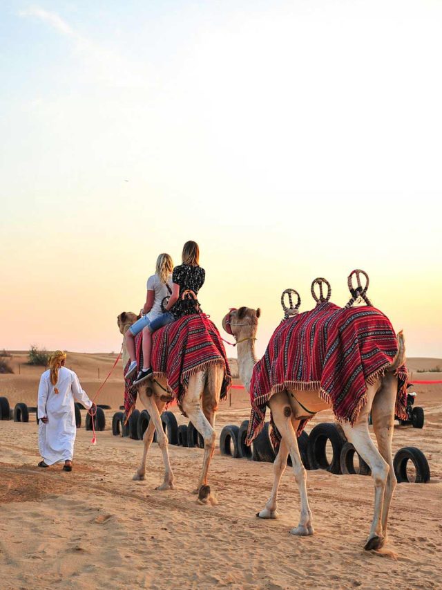 Top 5 Desert Safari Experiences You Can’t Miss in Sharjah
