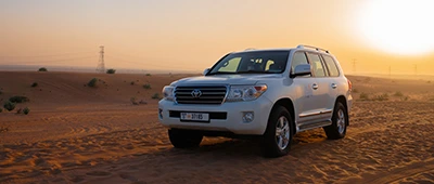 Morning Desert Safari in Dubai