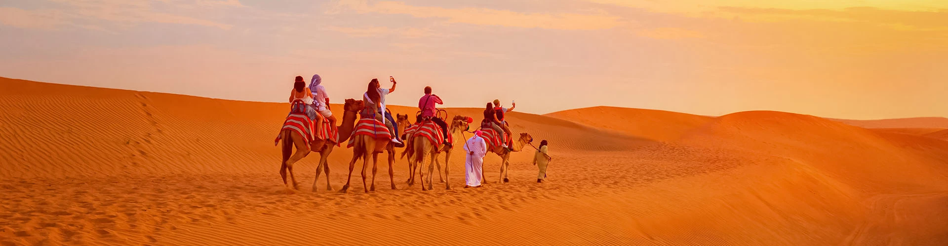 Camel Trekking in Abu Dhabi