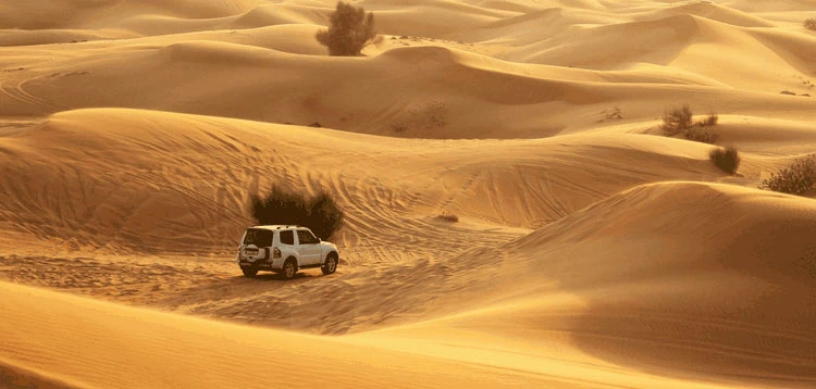 Desert Safari in Dubai