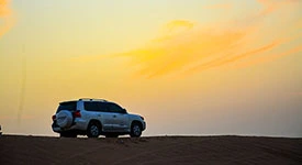 Desert Safari