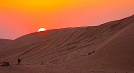 Dubai Desert Sunset