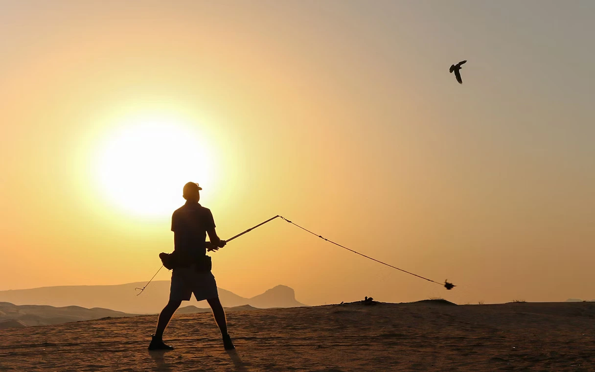 Sunrise Safari in Dubai
