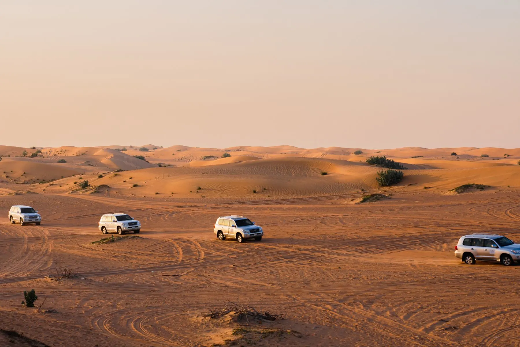 Toyoto Jeeps on dubai Desert